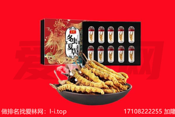 石嘴山回收虫草.jpg